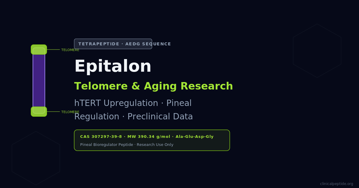 Abstract representation of telomere elongation and the AEDG tetrapeptide Epitalon in cellular aging research.