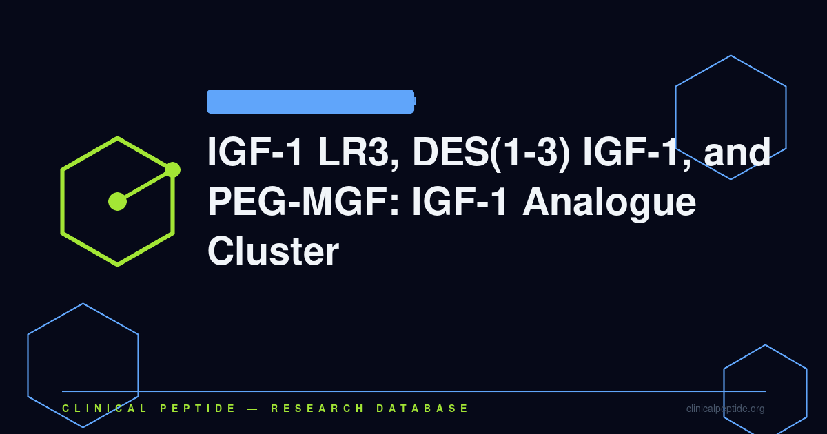 Abstract molecular diagram comparing IGF-1 LR3, DES(1-3) IGF-1, and PEG-MGF insulin-like growth factor analogue research.